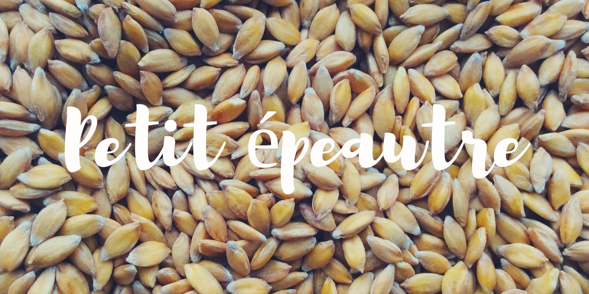 petit.epeautre