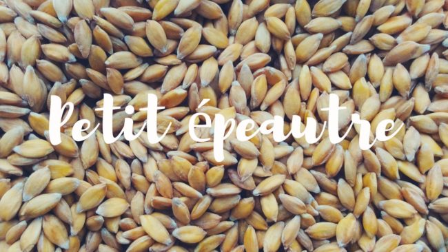 Petit épeautre petit.epeautre