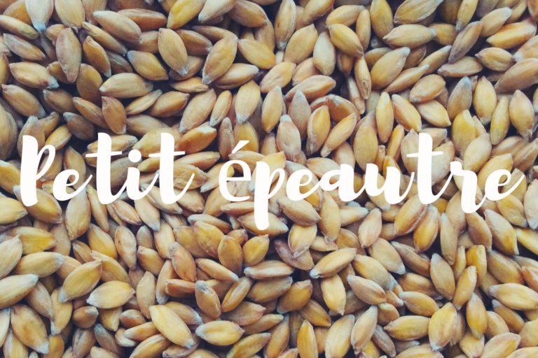 petit.epeautre